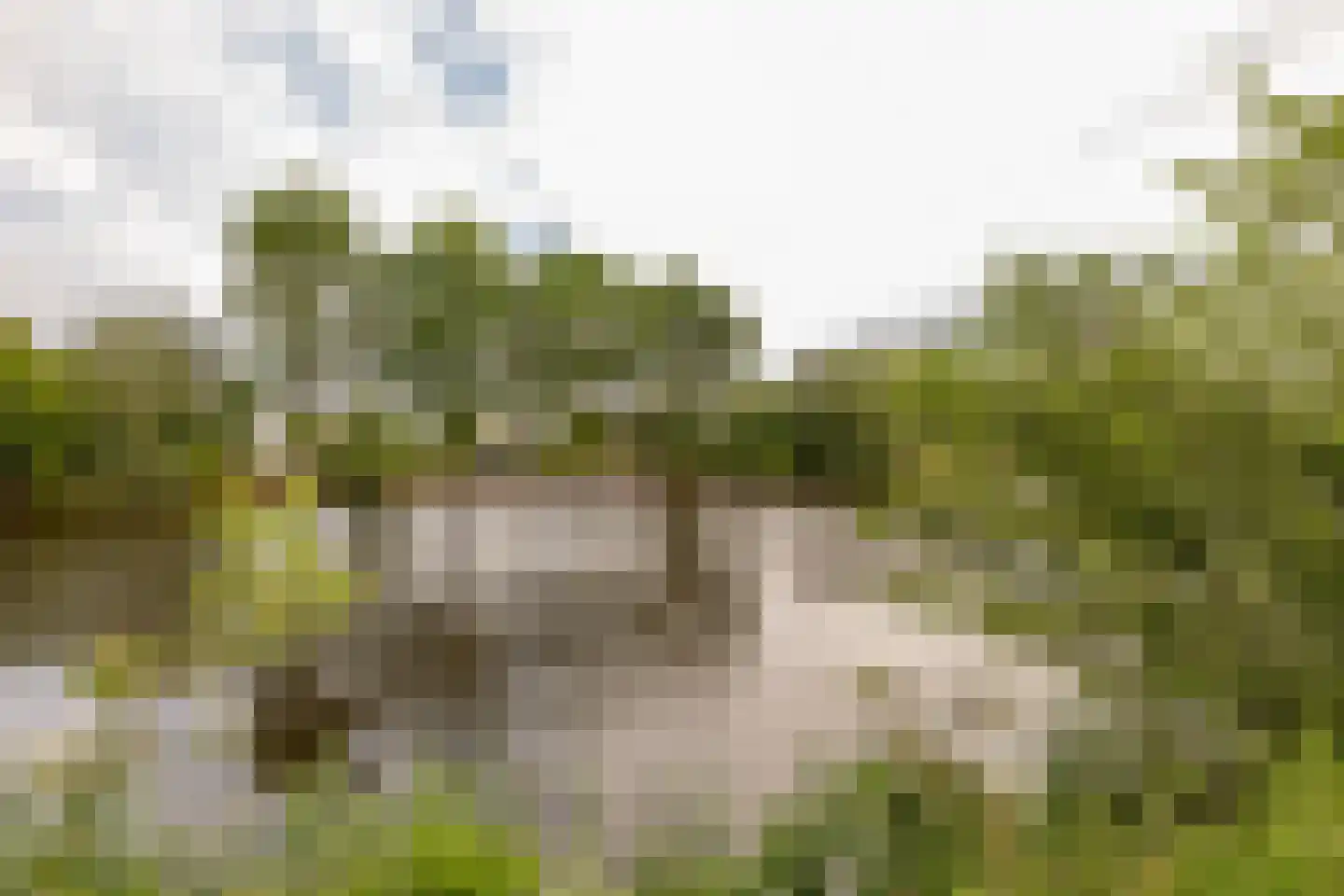 Rigel 29 Hoogeveen thumbnail 50