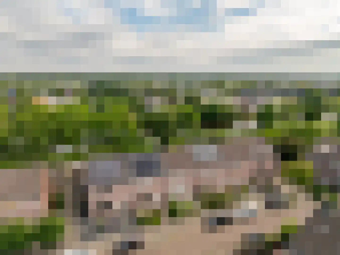 Rigel 29 Hoogeveen thumbnail 6