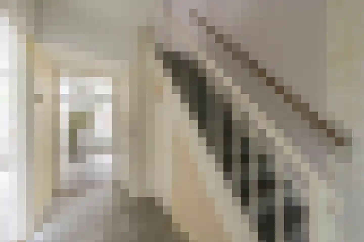 Rigel 3 Puttershoek thumbnail 4