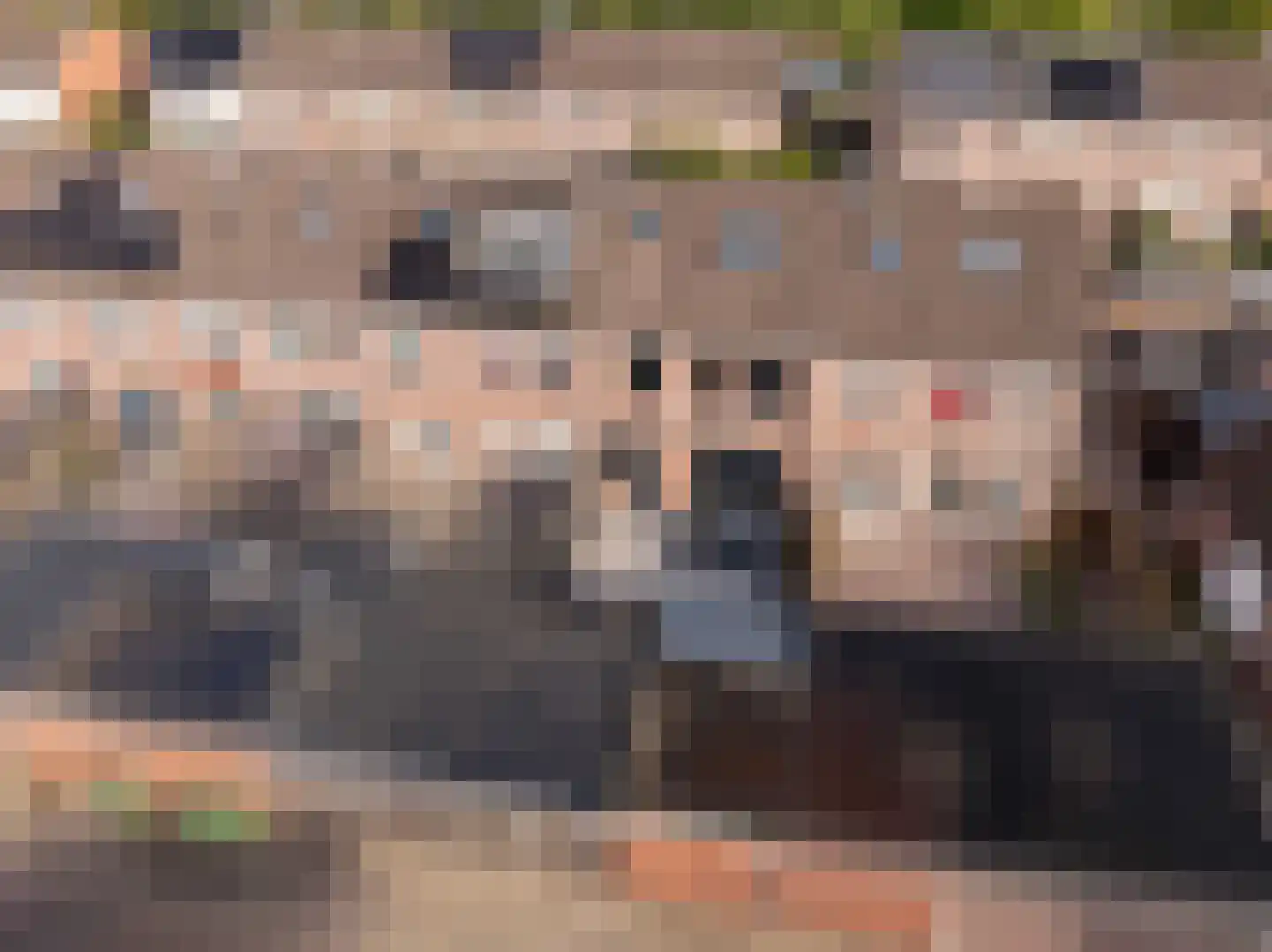 Rigel 34 Hoogeveen thumbnail 39