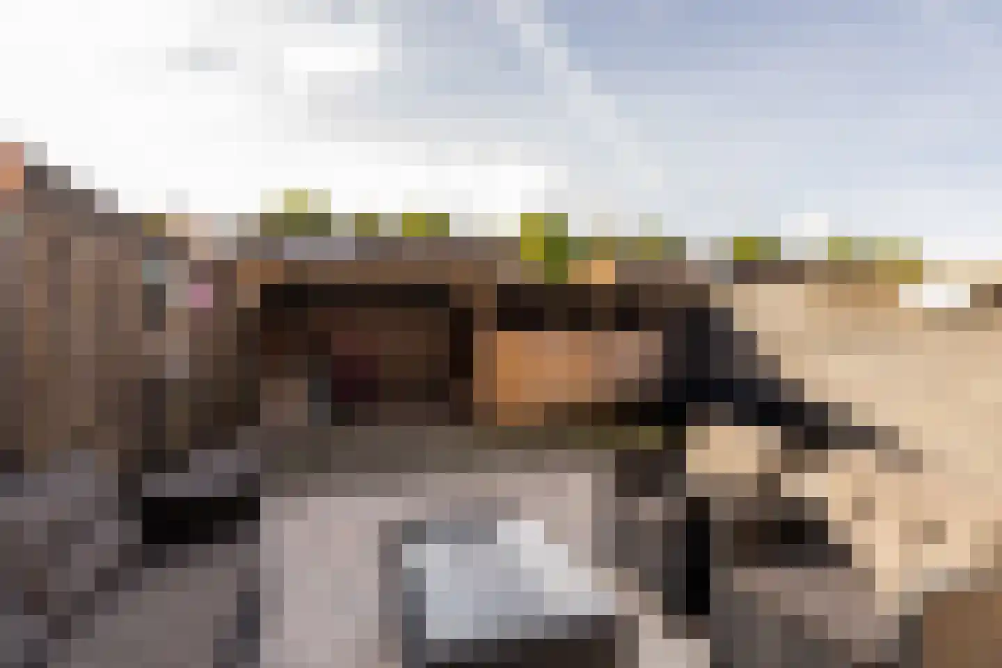 Rigel 34 Hoogeveen thumbnail 40
