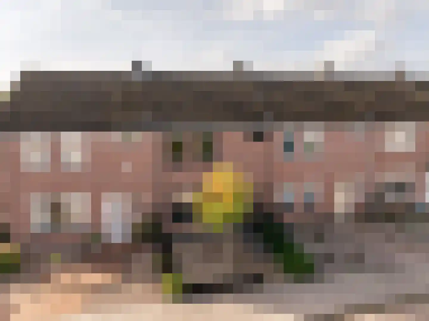 Rigel 34 Hoogeveen thumbnail 5