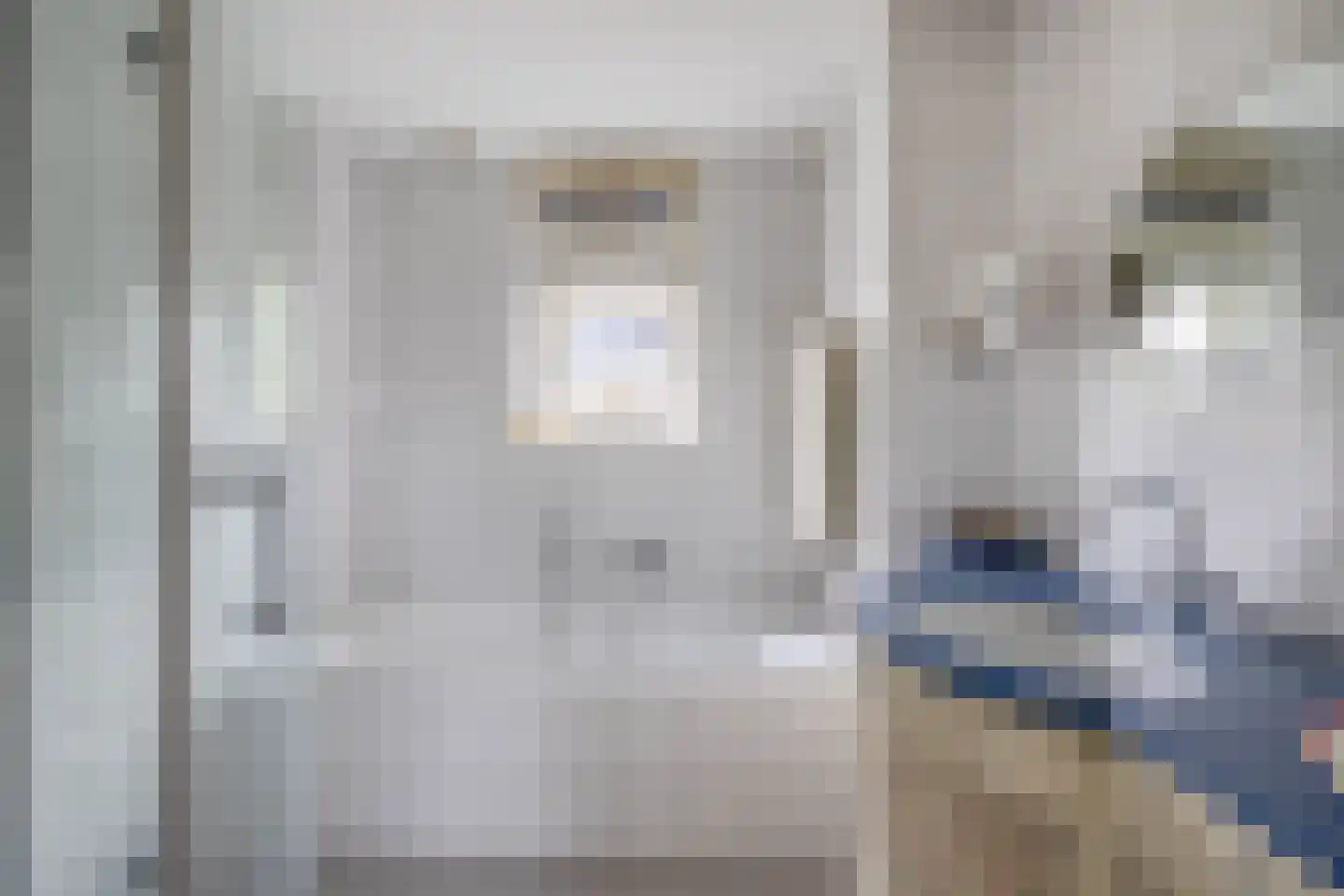 Rigel 44 Waddinxveen thumbnail 20