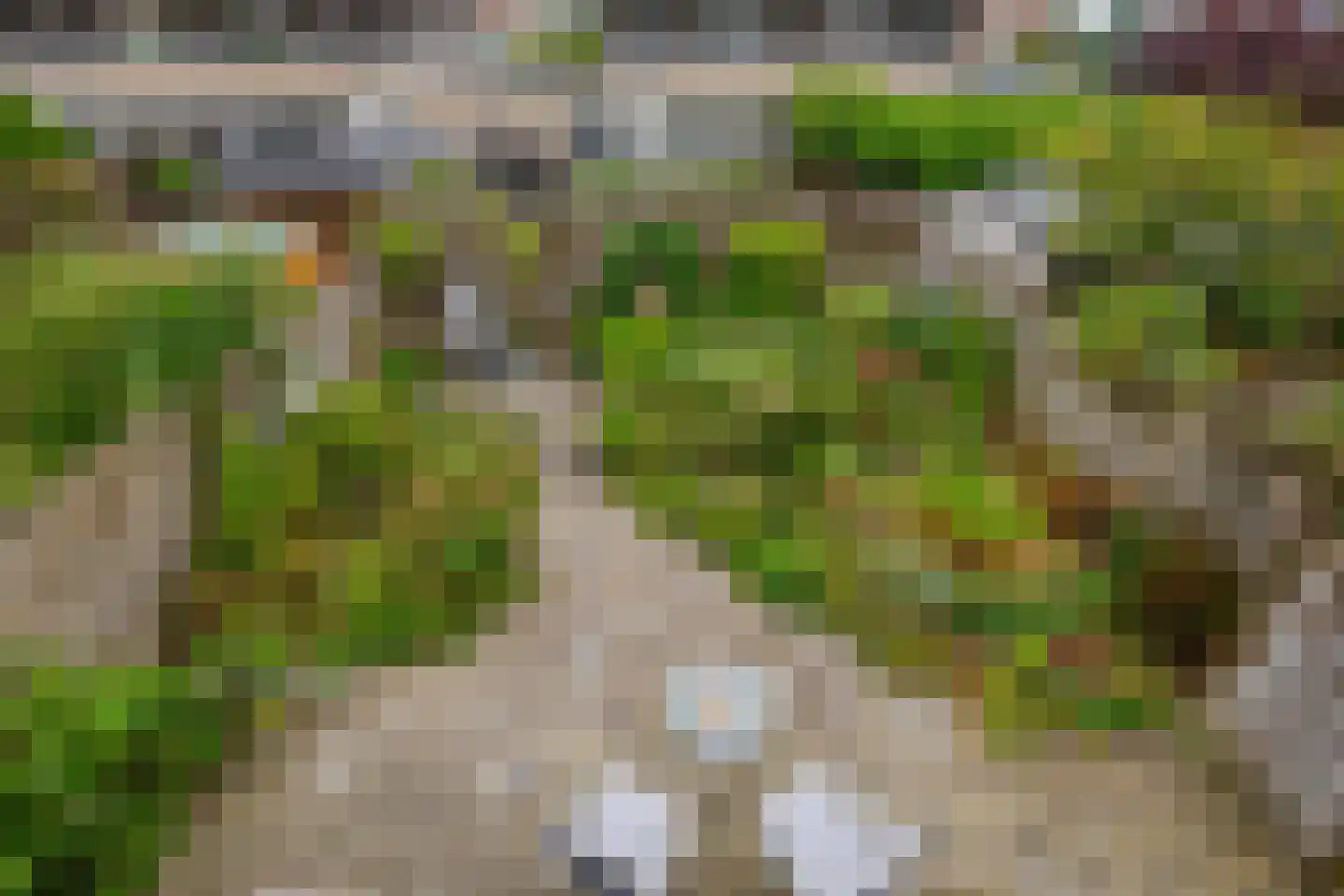 Rigel 44 Waddinxveen thumbnail 25