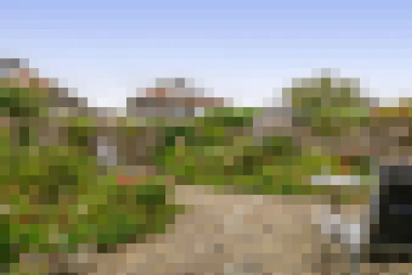 Rigel 44 Waddinxveen thumbnail 27
