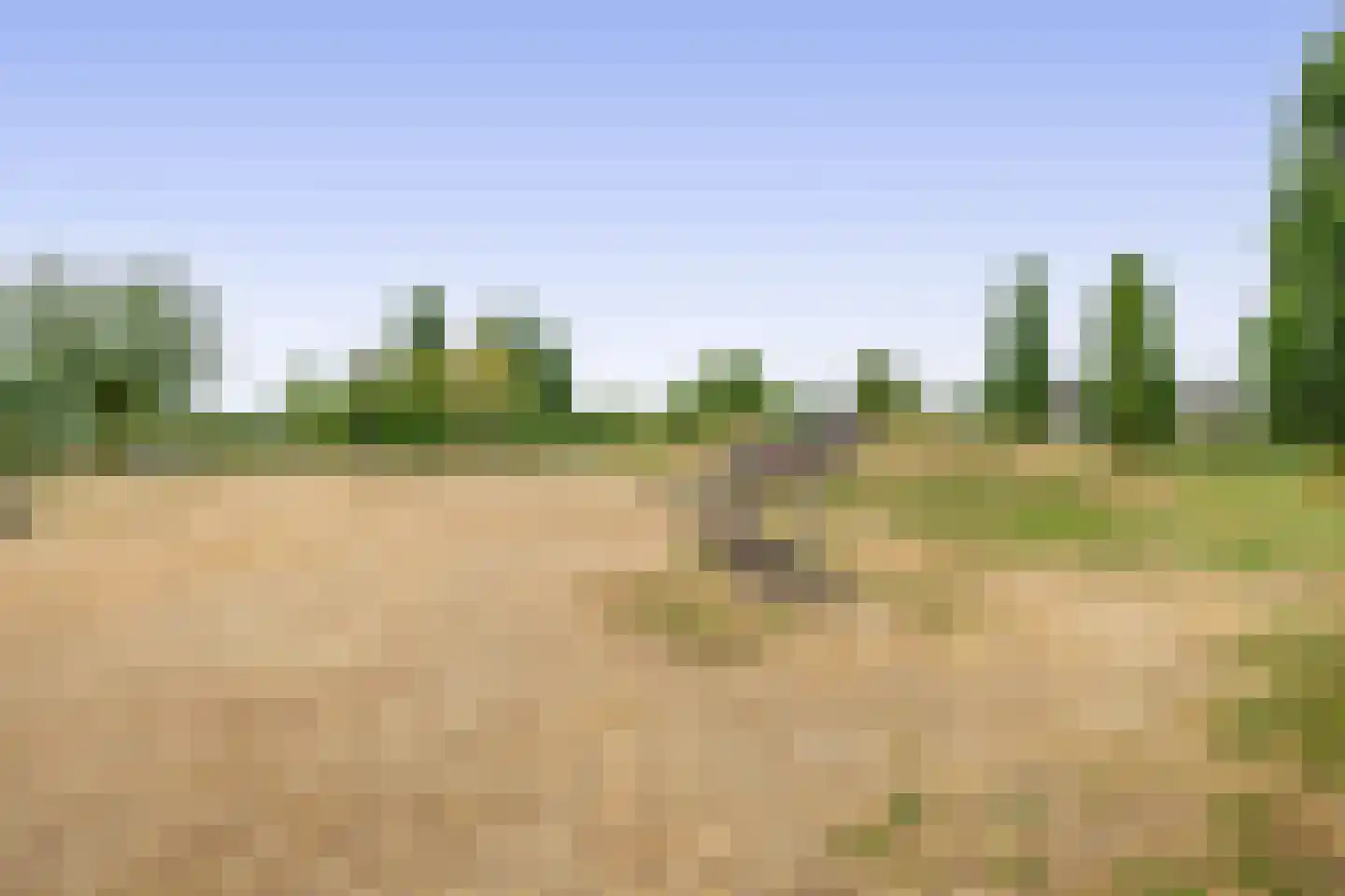 Rigel 44 Waddinxveen thumbnail 34