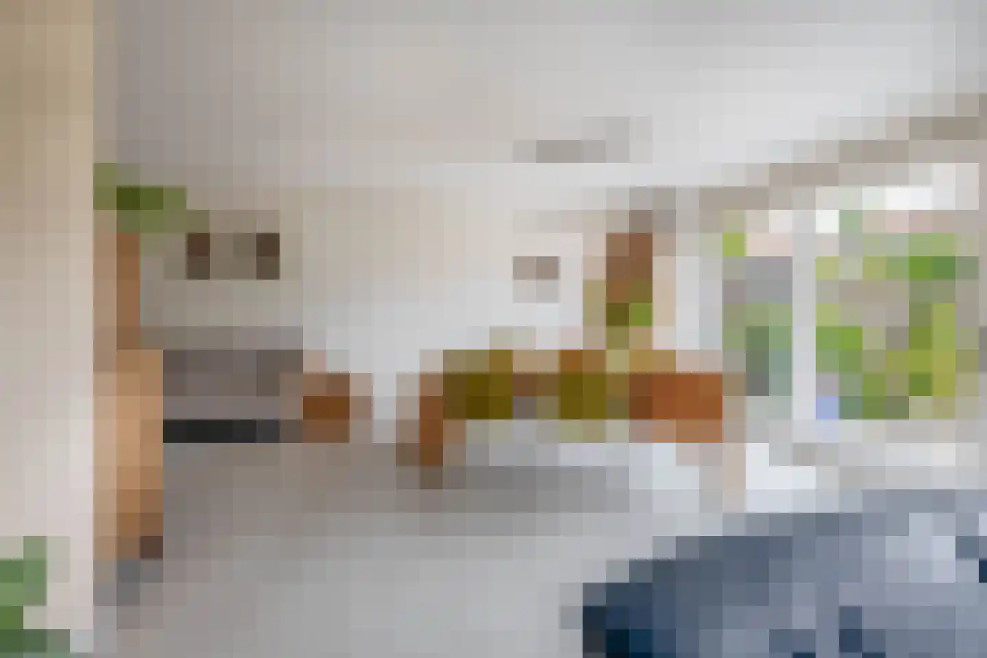 Rigel 44 Waddinxveen thumbnail 7