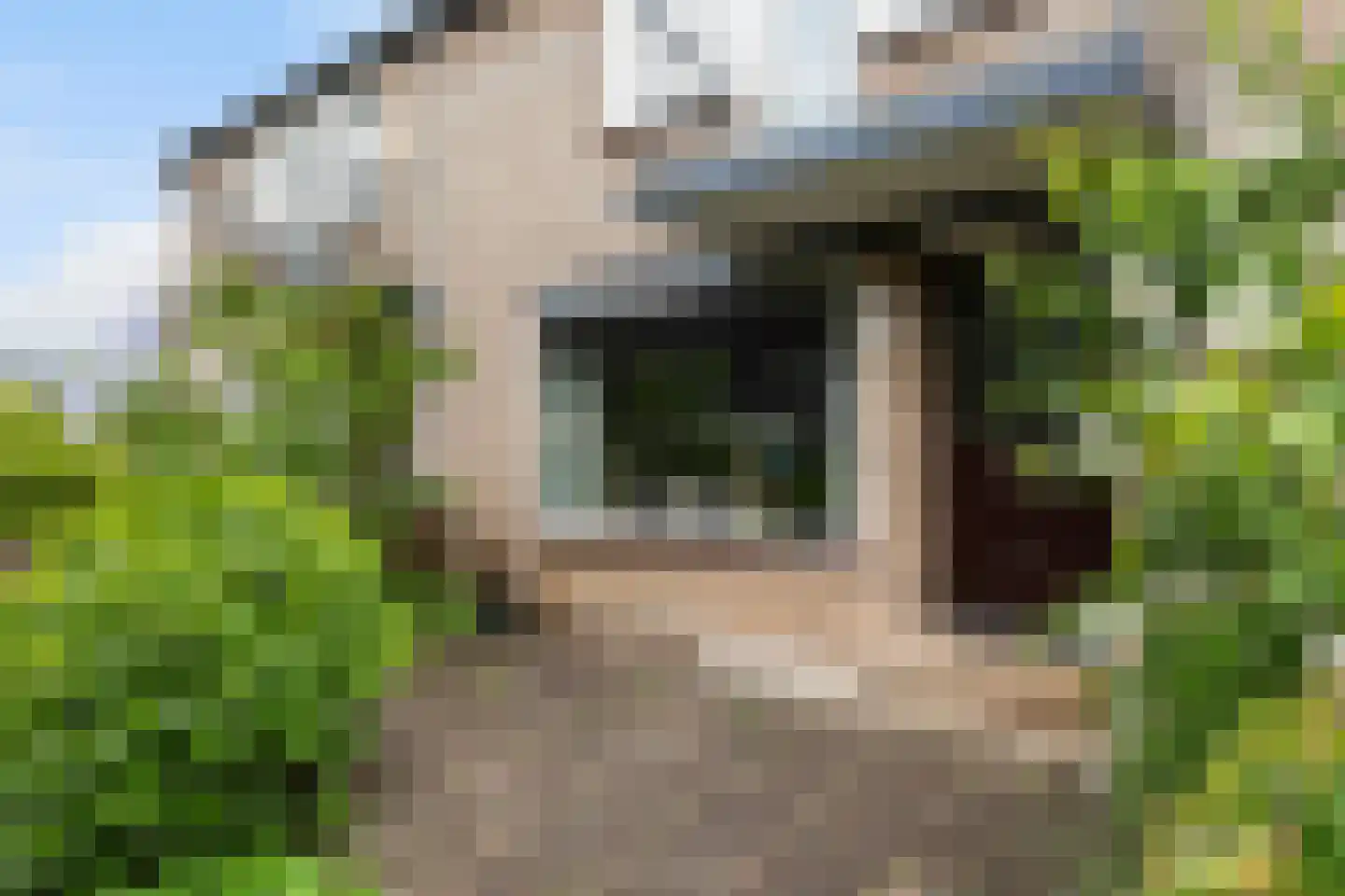 Rigelhof 4 Dordrecht thumbnail 7