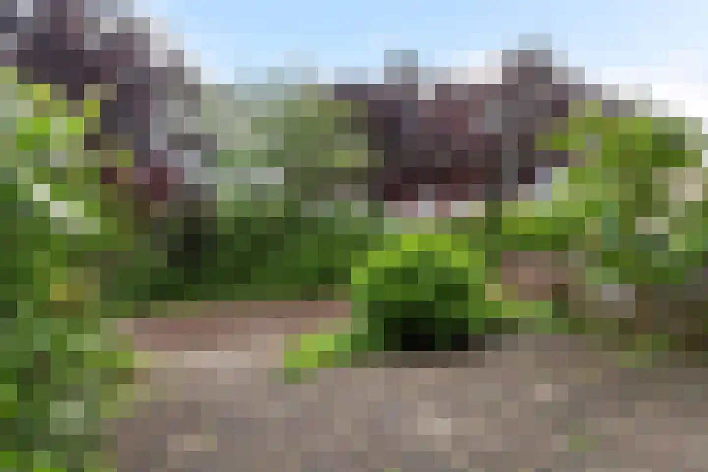 Rigelhof 4 Dordrecht thumbnail 8