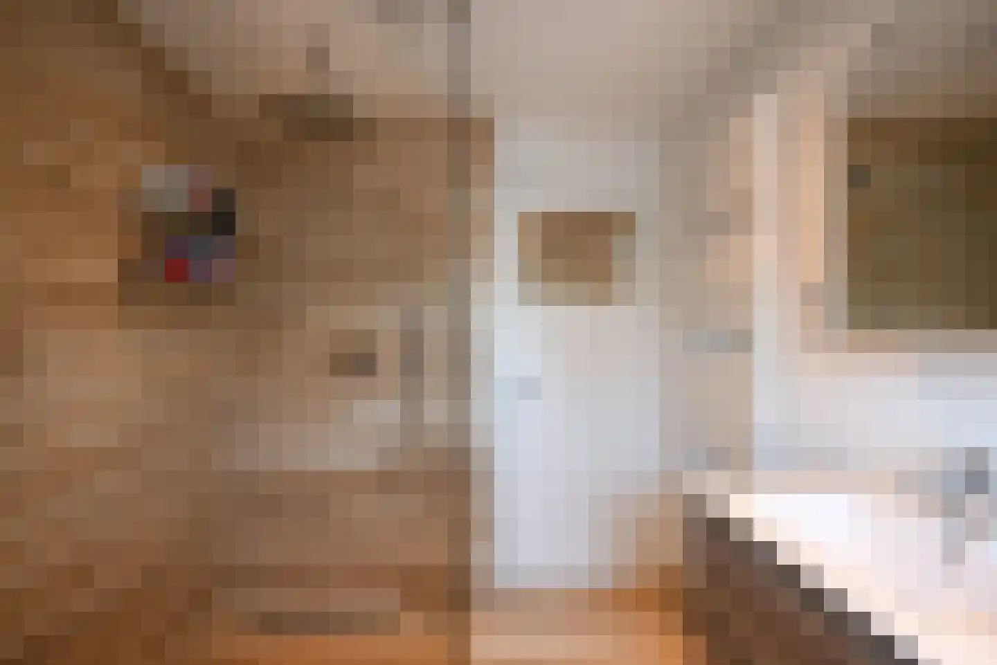 Rigelstraat 30 Hilversum thumbnail 20