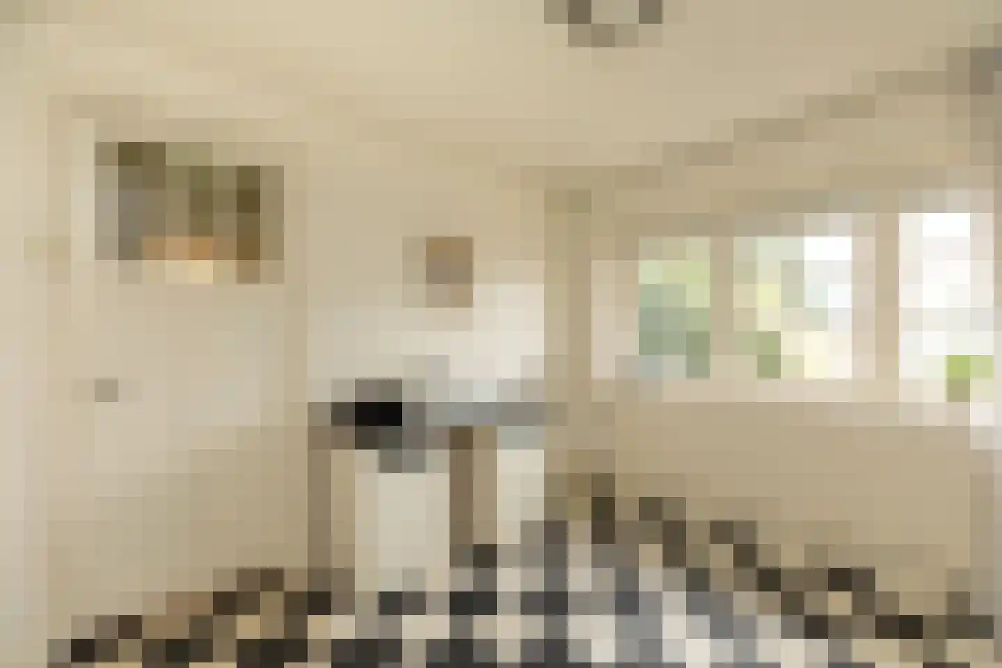 Rigelstraat 81 Hilversum thumbnail 14
