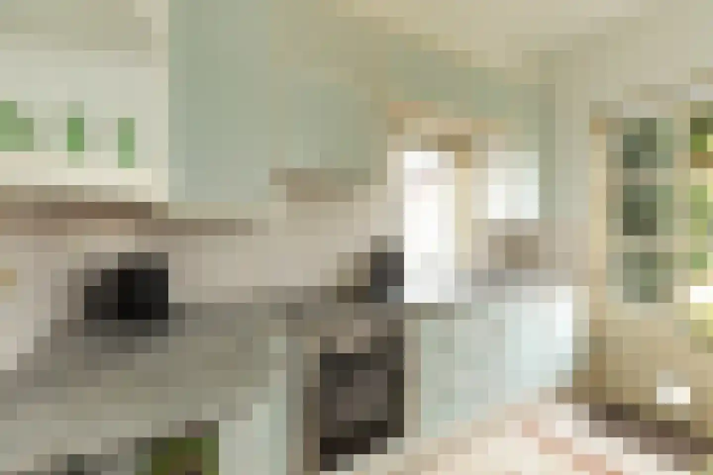 Rigelstraat 81 Hilversum thumbnail 9