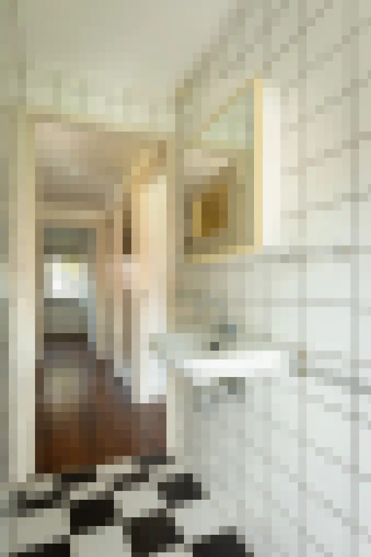 Rigelstraat 82 Hilversum thumbnail 23