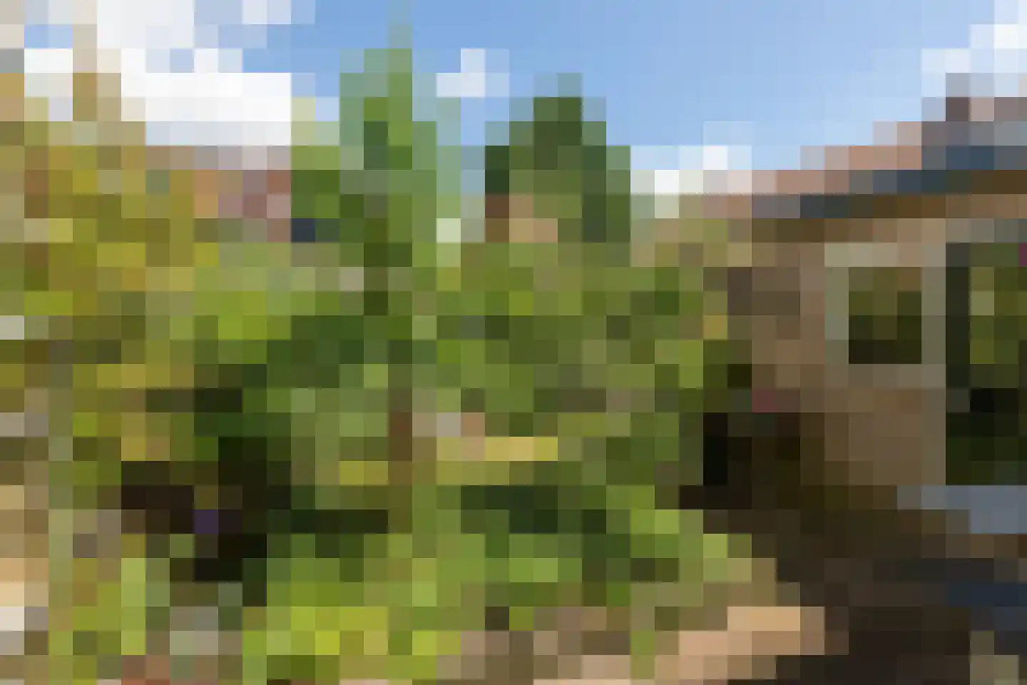 Rigelstraat 82 Hilversum thumbnail 30