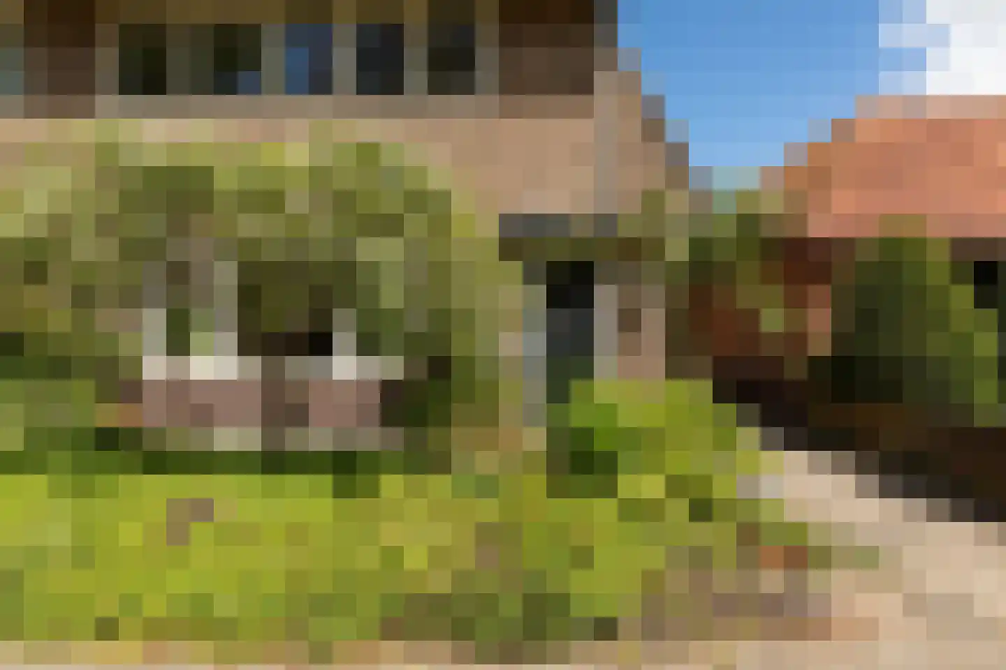 Rigelstraat 82 Hilversum thumbnail 34