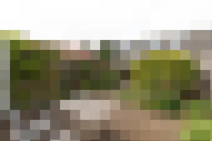 Rigelstraat 87 Hilversum thumbnail 28