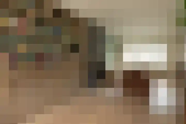 Rigelstraat 87 Hilversum thumbnail 9
