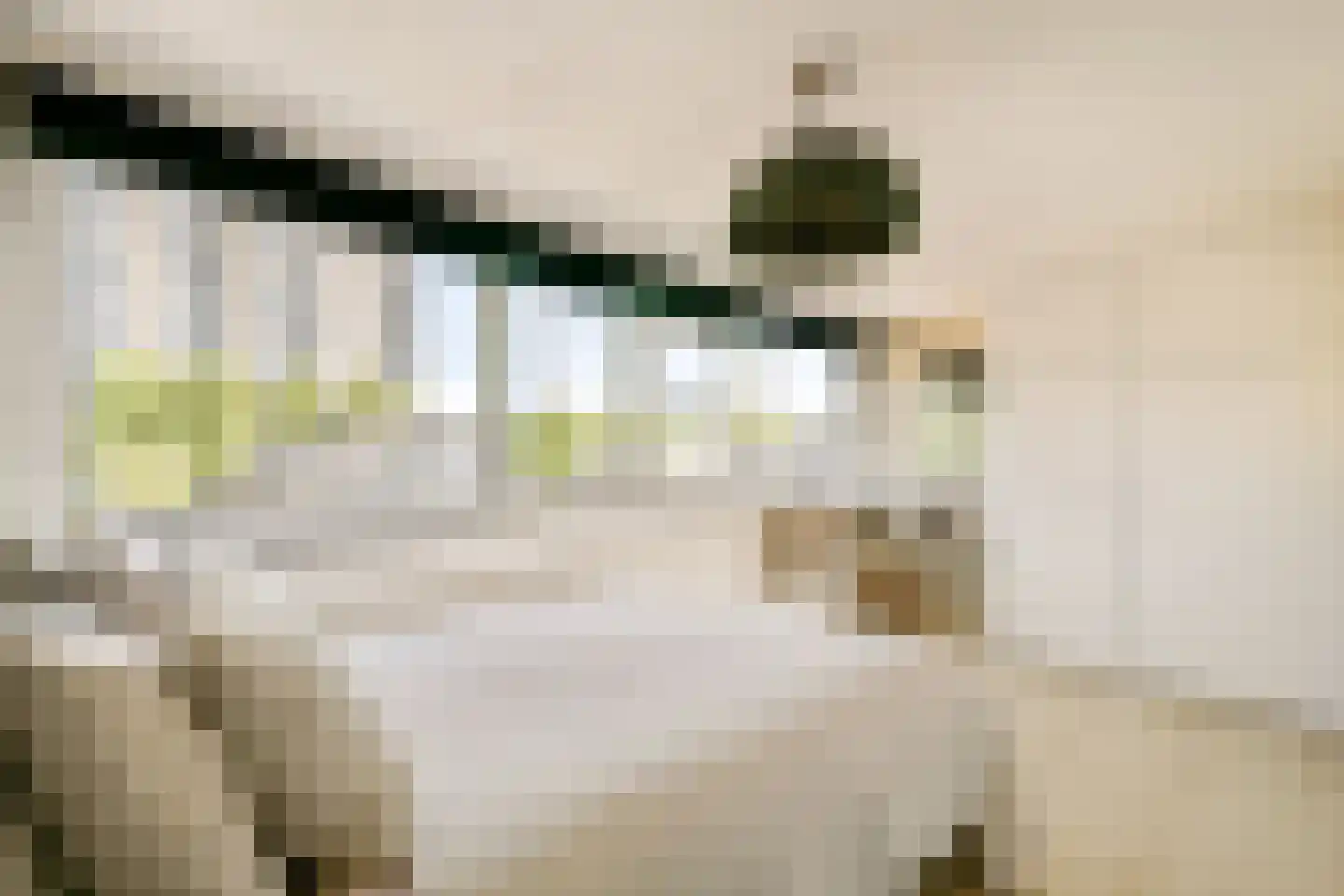 Rigi 1 Amstelveen thumbnail 12