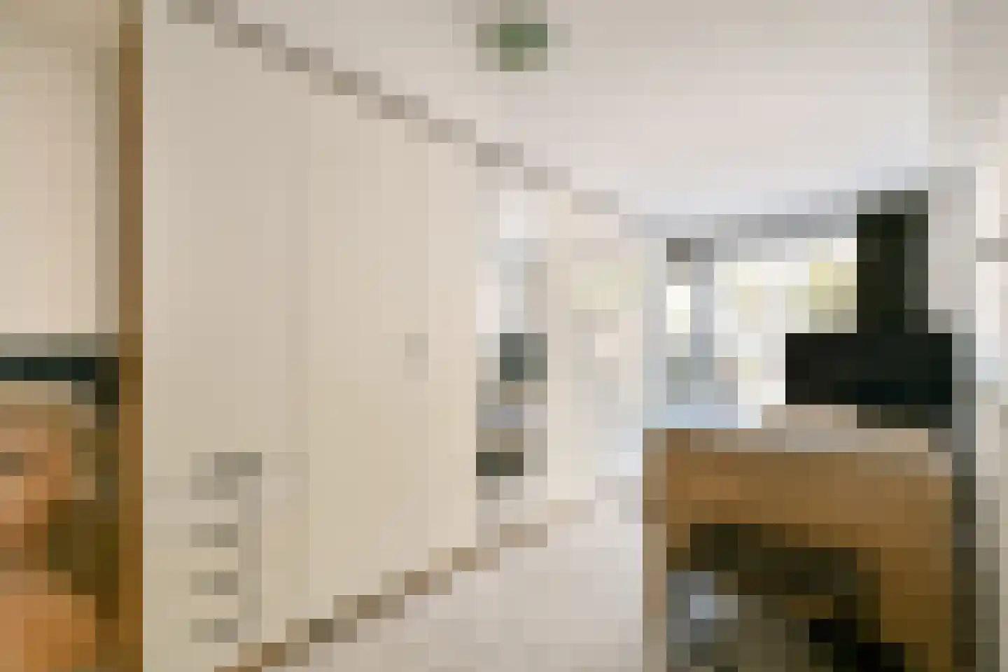 Rigi 1 Amstelveen thumbnail 20