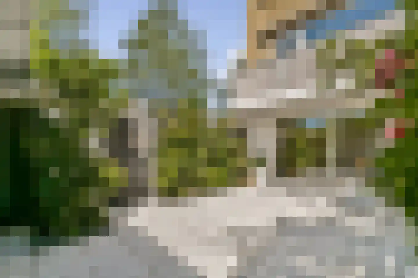 Rigi 1 Amstelveen thumbnail 28
