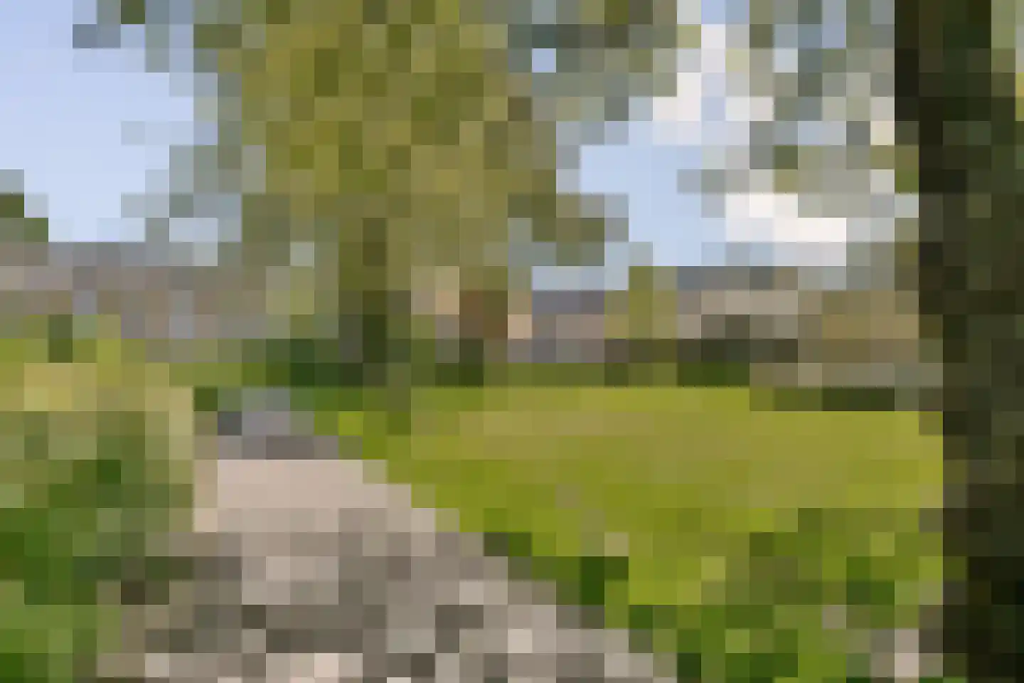 Rigi 1 Amstelveen thumbnail 32