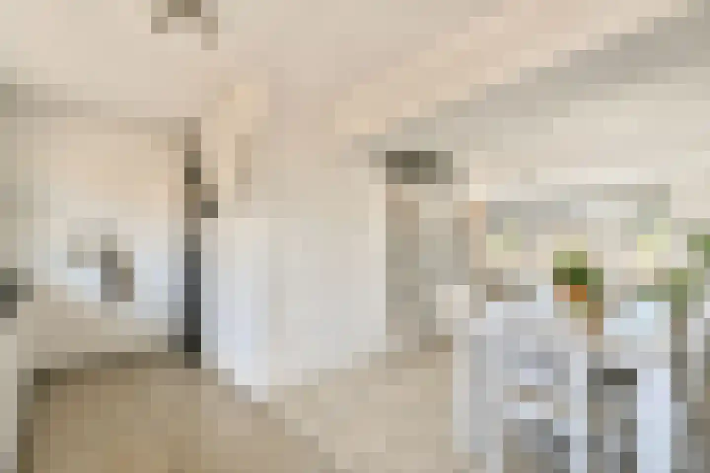 Rigi 1 Amstelveen thumbnail 4