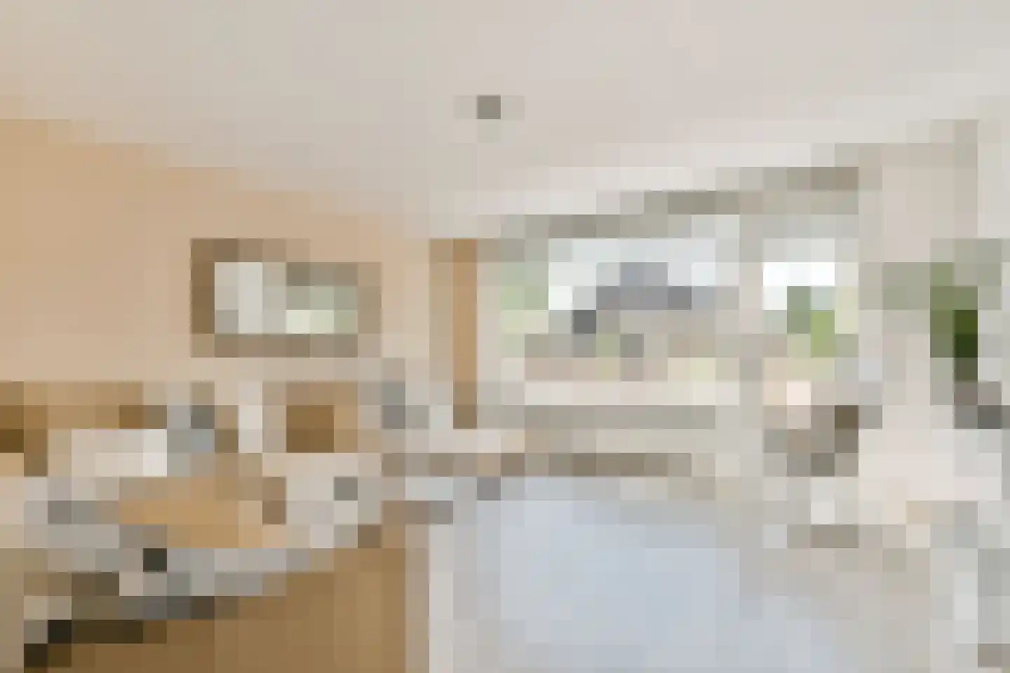 Rigi 1 Amstelveen thumbnail 5