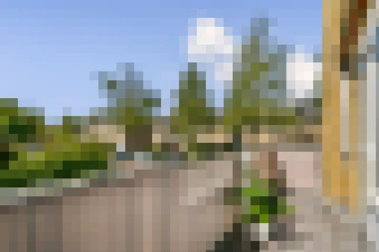 Rigi 1 Amstelveen thumbnail 8