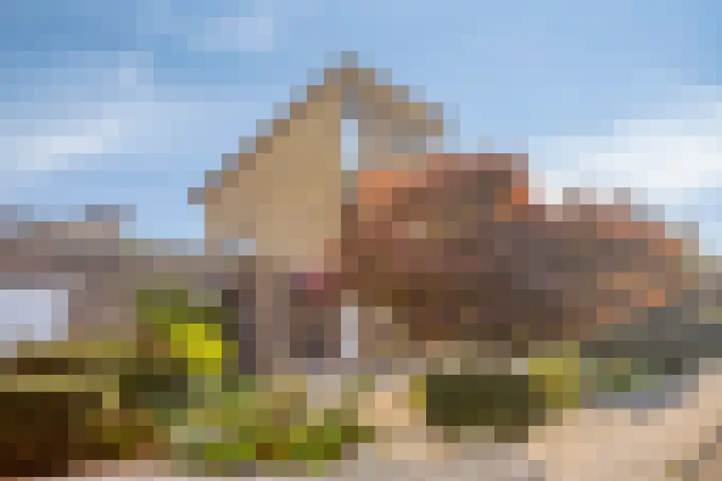 Rigoletto 24 Kampen thumbnail 12