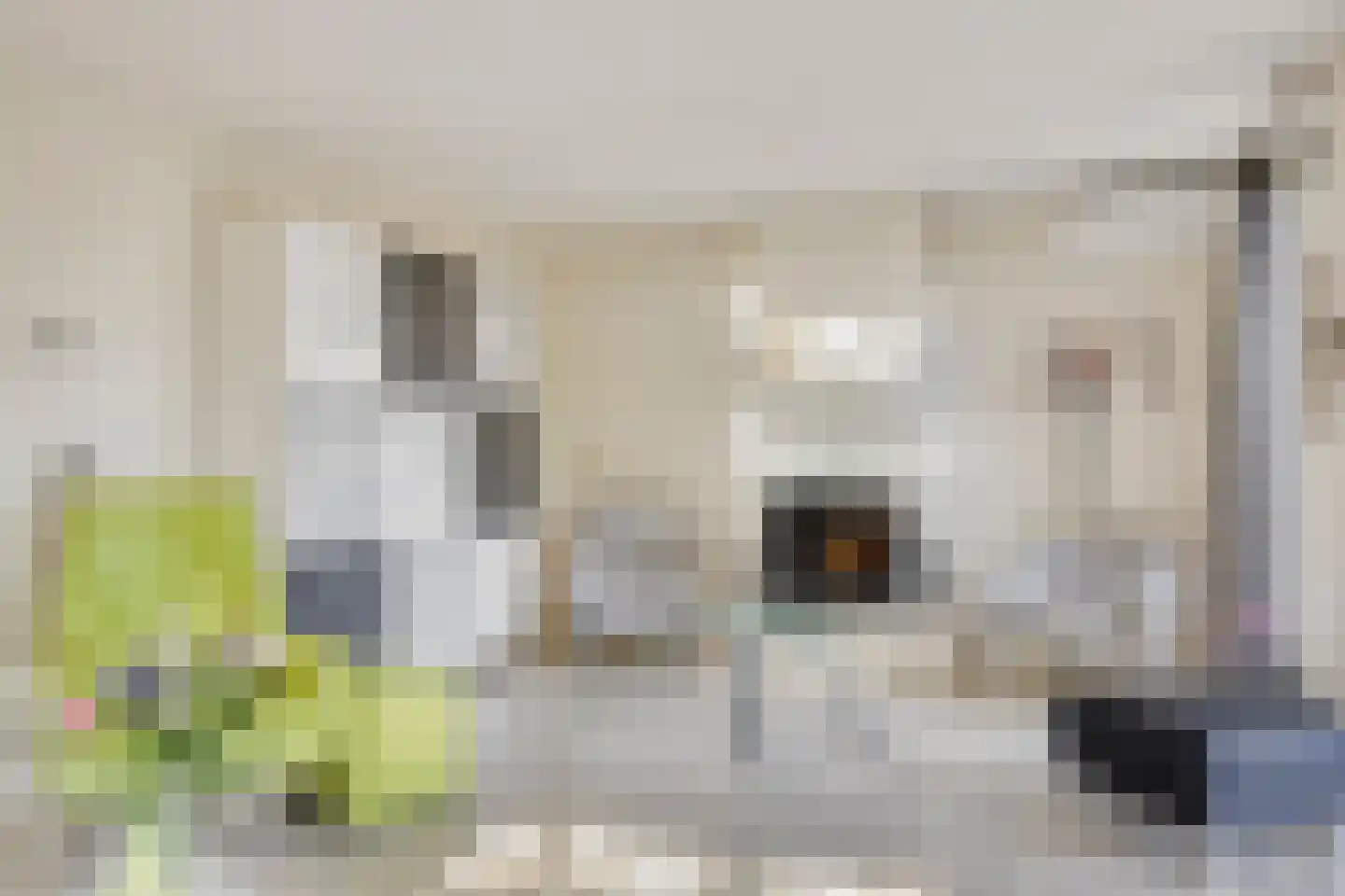 Rigoletto 24 Kampen thumbnail 19