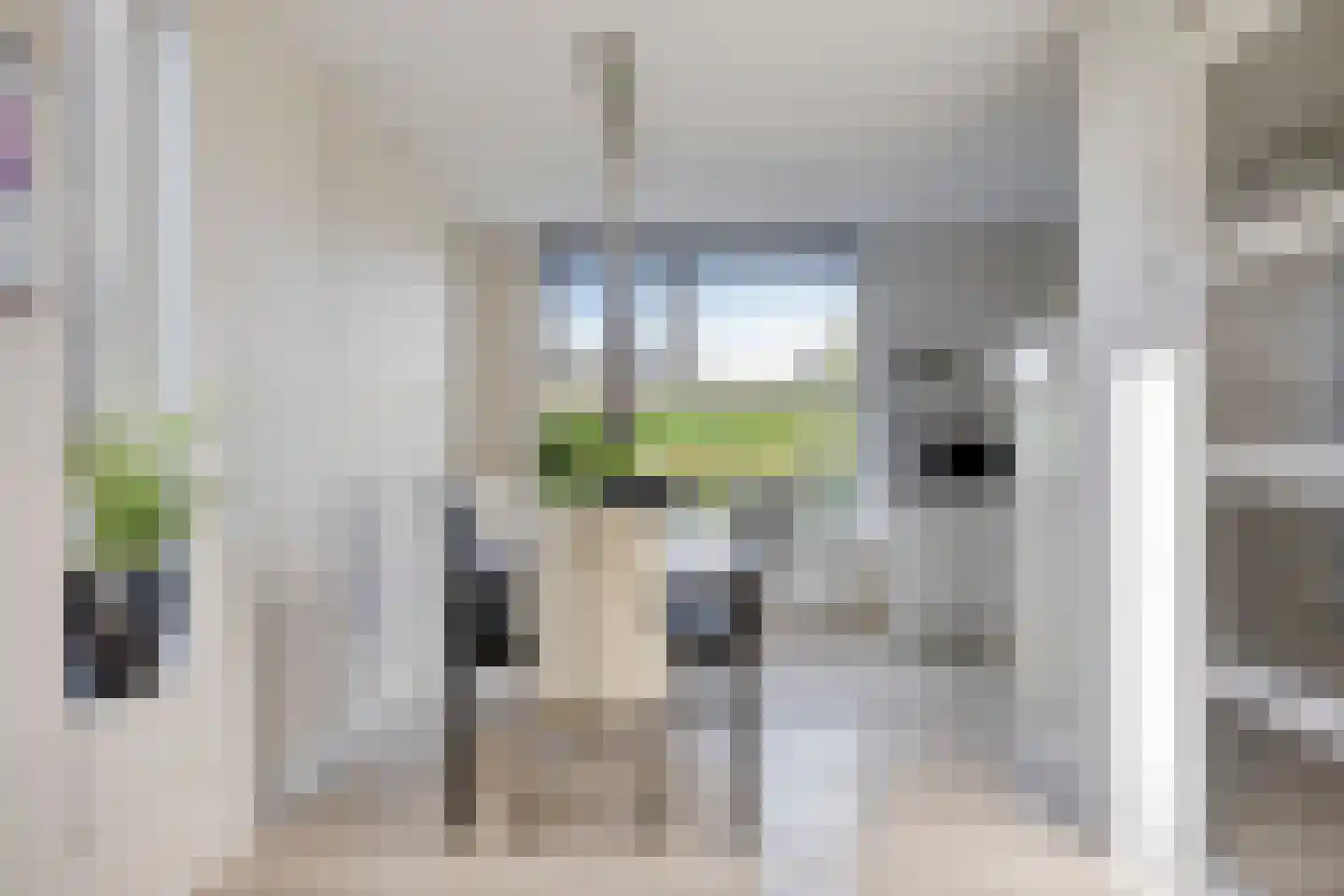 Rigoletto 24 Kampen thumbnail 26
