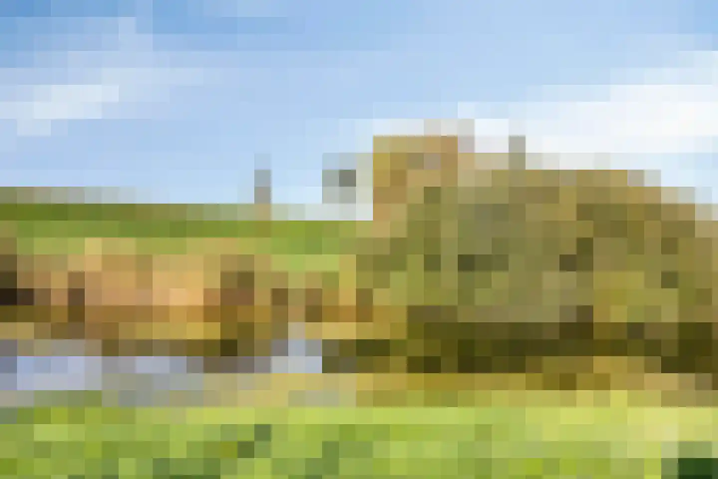 Rigoletto 24 Kampen thumbnail 60