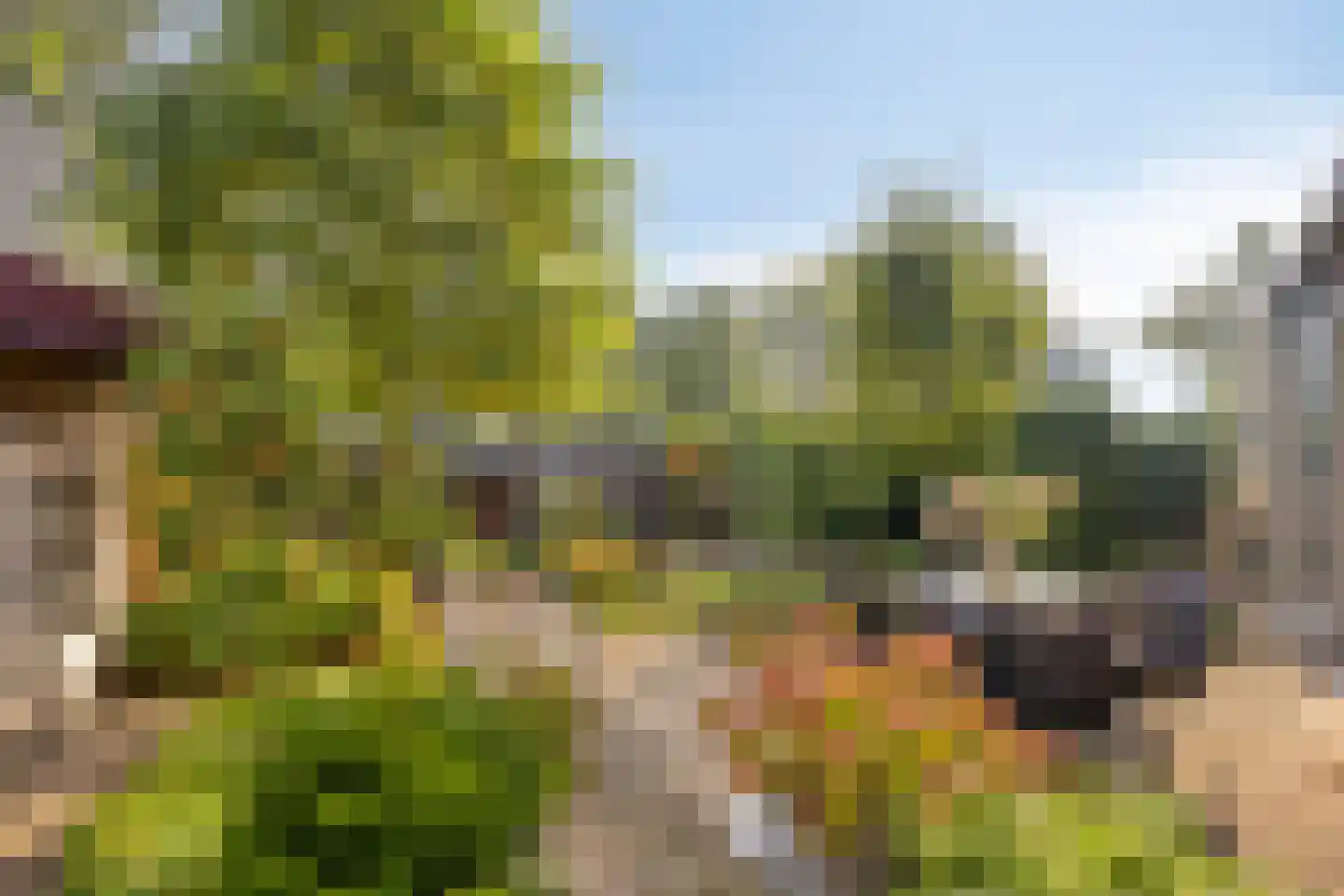 Rigoletto 24 Kampen thumbnail 8
