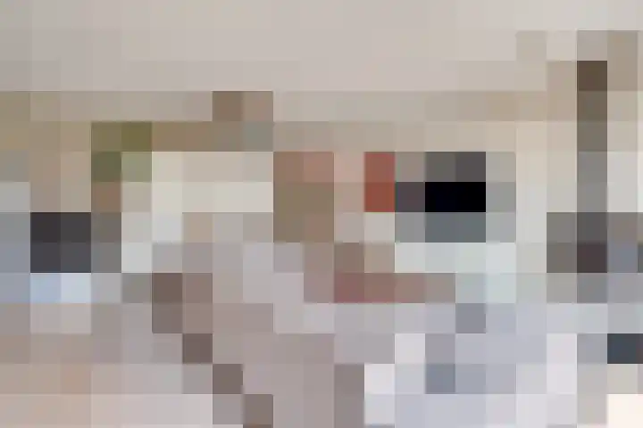 Rigoletto 31 Eindhoven foto 2