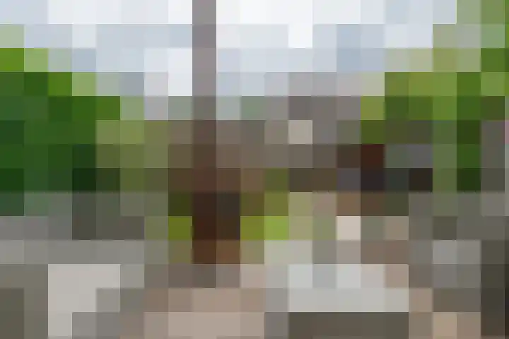 Rigoletto 31 Eindhoven thumbnail 41