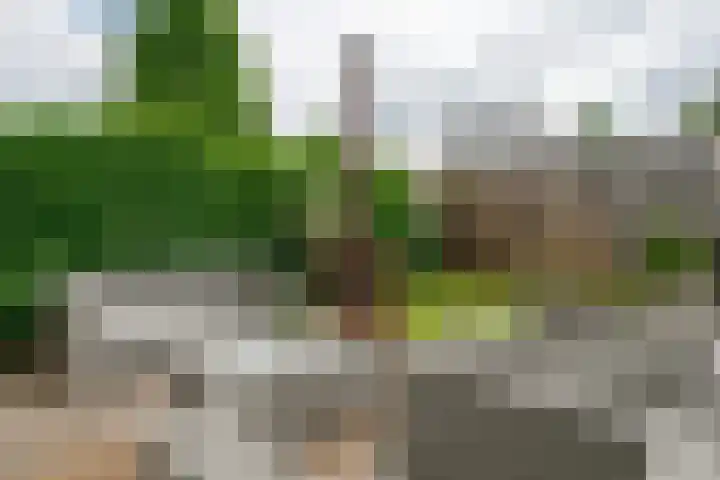 Rigoletto 31 Eindhoven thumbnail 42