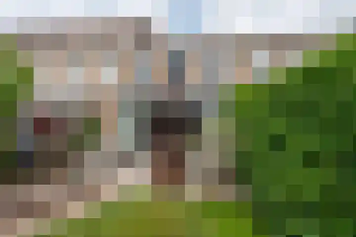 Rigoletto 31 Eindhoven thumbnail 44