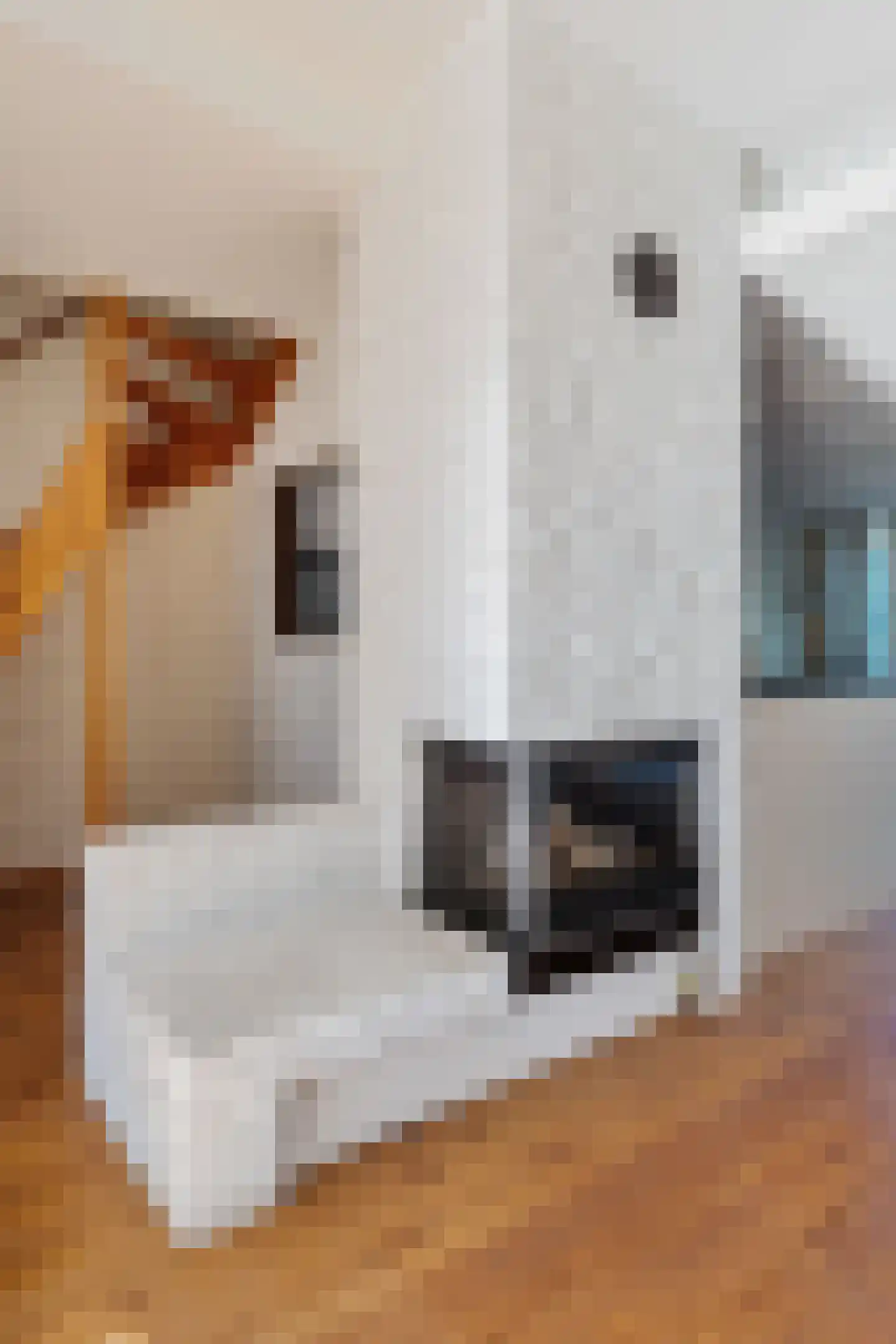 Rigolettolaan 53 Amstelveen thumbnail 14