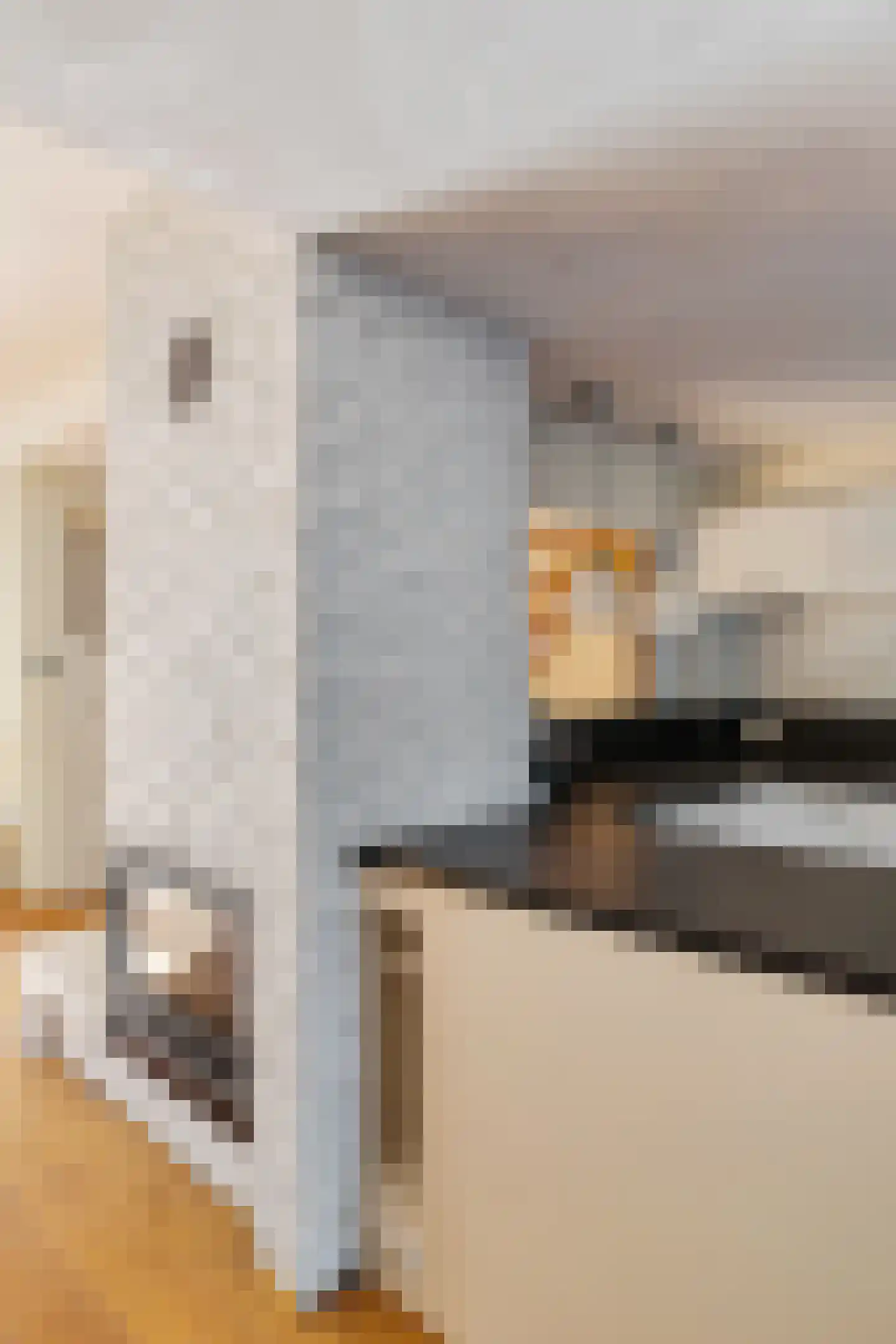 Rigolettolaan 53 Amstelveen thumbnail 15