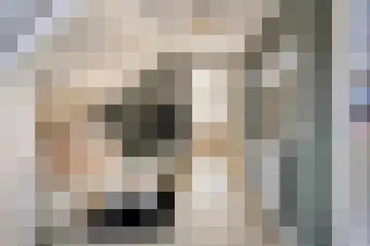 Rigolettolaan 7 Oldenzaal thumbnail 25