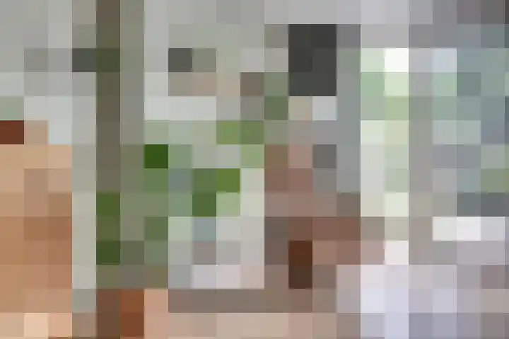 Rigolettoplantsoen 4 Nieuwegein thumbnail 5