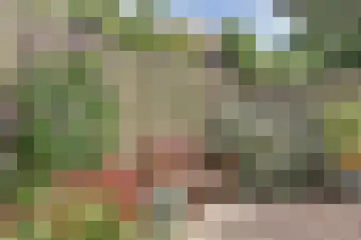 Rigolettoplantsoen 4 Nieuwegein thumbnail 8