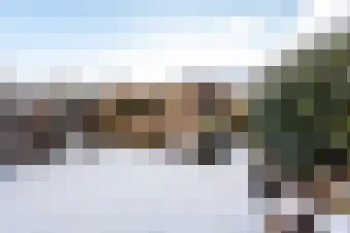 Rigolettosingel 48 Nieuw-Vennep thumbnail 15