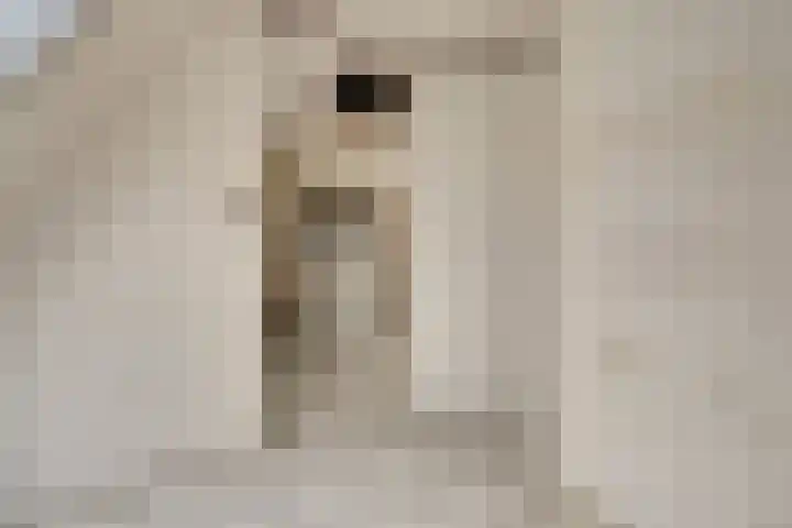 Rigolettostraat 1 Spijkenisse thumbnail 24