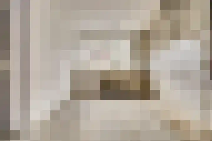 Rigolettostraat 1 Spijkenisse thumbnail 6