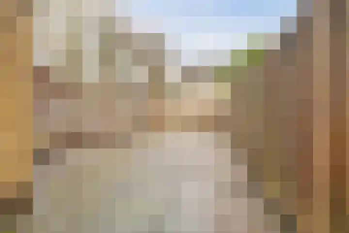 Rigolettostraat 1 Spijkenisse thumbnail 9