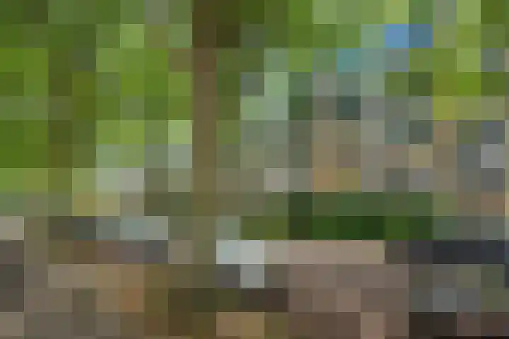 Rigolettostraat 157 in Den Haag