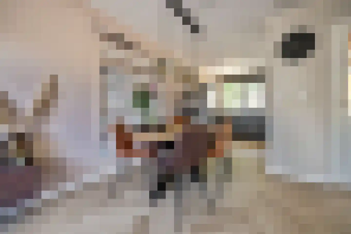 Rigolettostraat 87 Spijkenisse thumbnail 10