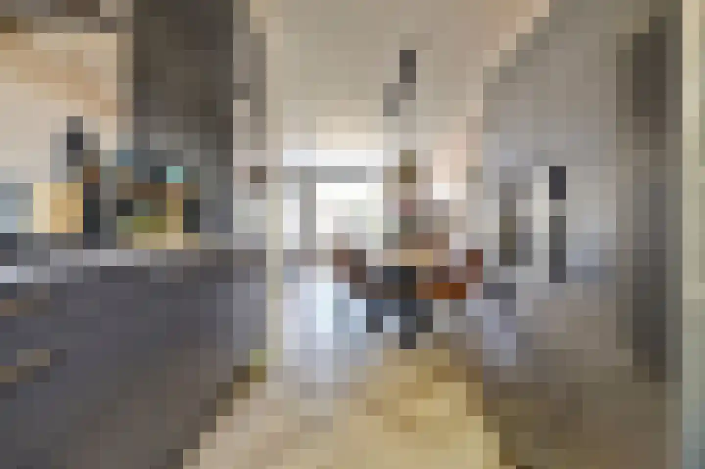 Rigolettostraat 87 Spijkenisse thumbnail 11