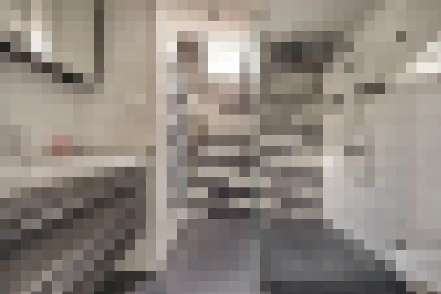 Rigolettostraat 87 Spijkenisse thumbnail 22